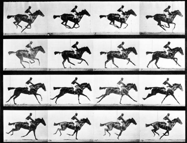 عکس های معروف ادویرد مایبریج که بنا به خواست لیلاند استانفورد از حرکت اسب ها گرفته شد و سهم مهمی در تولد هنر هفتم داشت