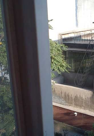 اگر بدانی پشت آن پنجره کيست؛ به یاد ایرن زازیانس