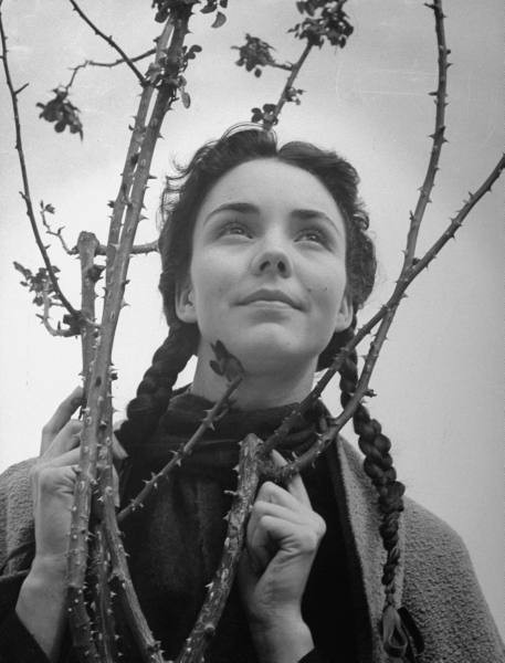 راهبه ای با پای برهنه کنار بوته گل سرخ/ مرگ جنیفر جونز بازیگر «آهنگ برنادت»