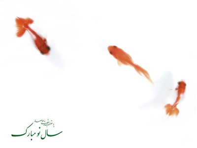  بهار از لجاجت کودکانه تا یک اتفاق ساده