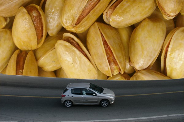 بهاریه: داستان «دو شاخه شب بو»