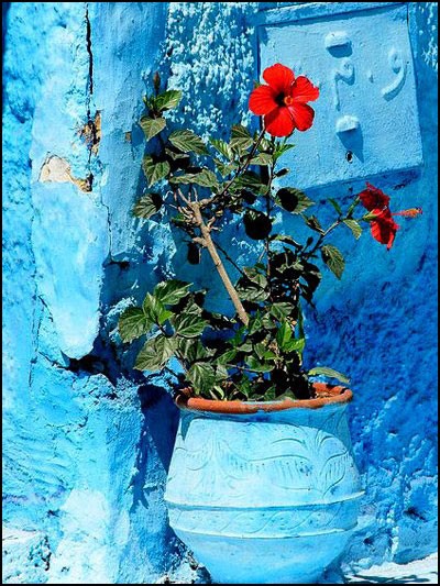 ثانیه‌شماری برای حال خوب بهار