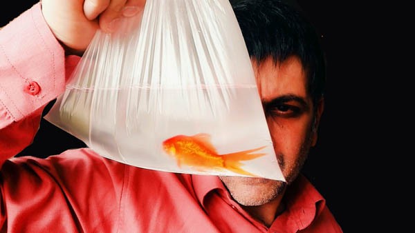 بهاریه نوروز ۱۳۹۶- دو+یک=دو