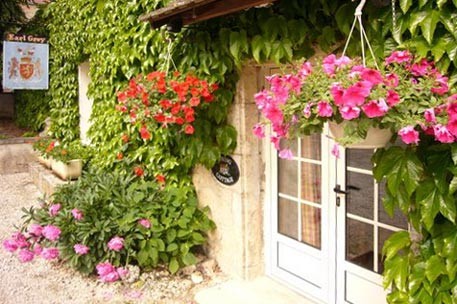  بهار و شکار آهو در شبی بهاری