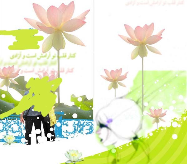 غنچه ی رز من کدام است؟