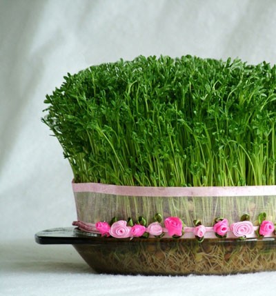 روزهای خوشی در راه است...