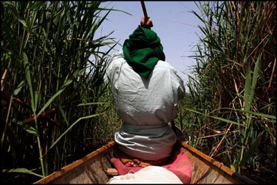 نمایش مستند «ایران،جنوب غربی» در روز جهانی محیط زیست در بارسلونا